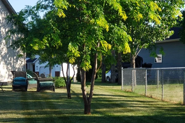 Pk Landscaping Service's other services