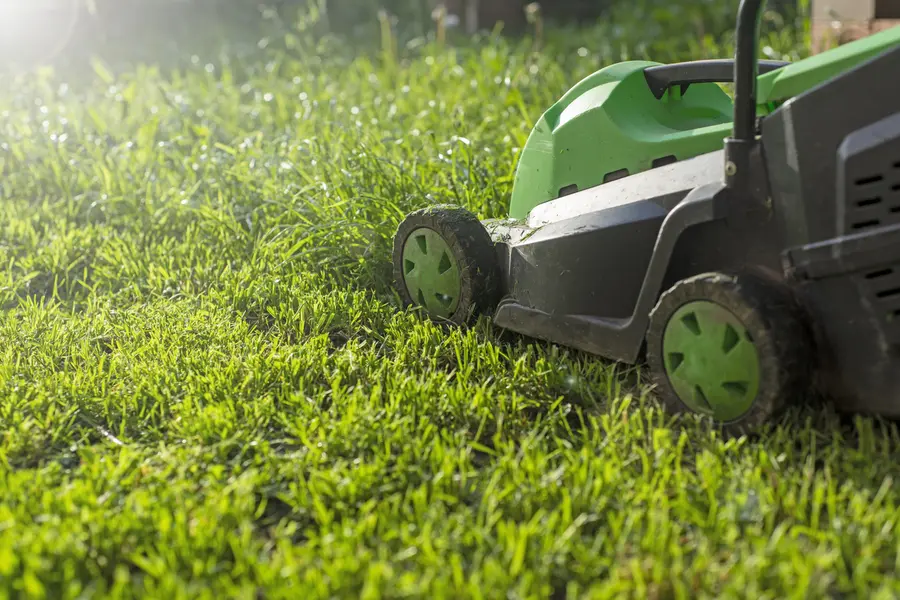 Preparing Your Lawn For Mowing During Extreme Weather in Fargo, ND Preparing Your Lawn For Mowing During Extreme Weather in Fargo, ND
