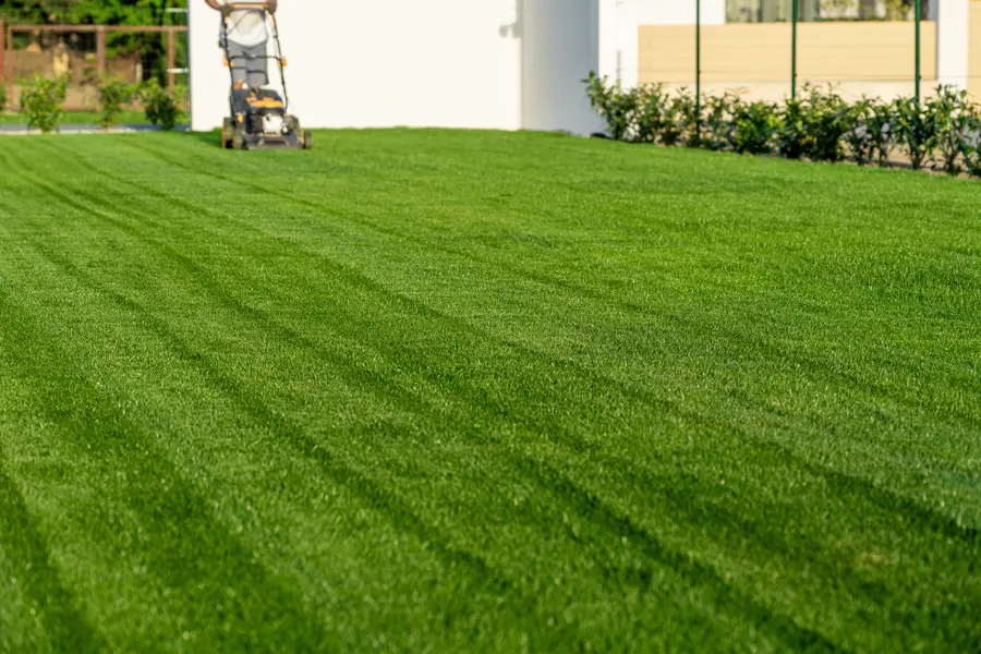 Seasonal Considerations For Effective Lawn Mowing in Fargo, ND Seasonal Considerations For Effective Lawn Mowing in Fargo, ND