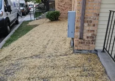 Landscaping Companies