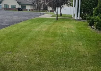 Lawn Mowing - 3