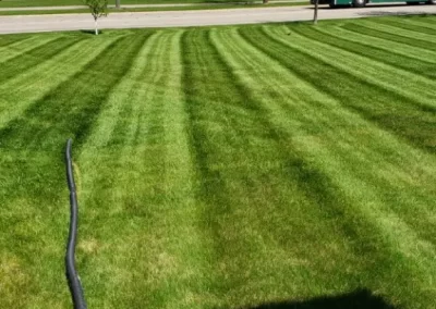 Lawn Mowing - 8