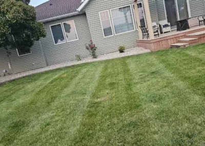 Lawn Mowing - 9