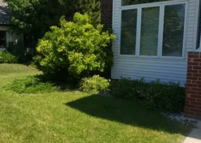 Quality Landscape Maintenance